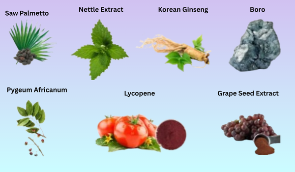 Ingredientes de AlphaStream Plus Capsules